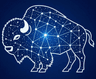 Bisonary