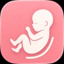 Pregnancy Tracker Kick Count