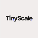 tinyScale AI