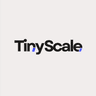 tinyScale AI