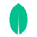 MintAPI