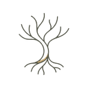 Roots: Daily Philosophy