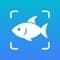 FishFinder
