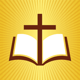 Viven: Bible in Action